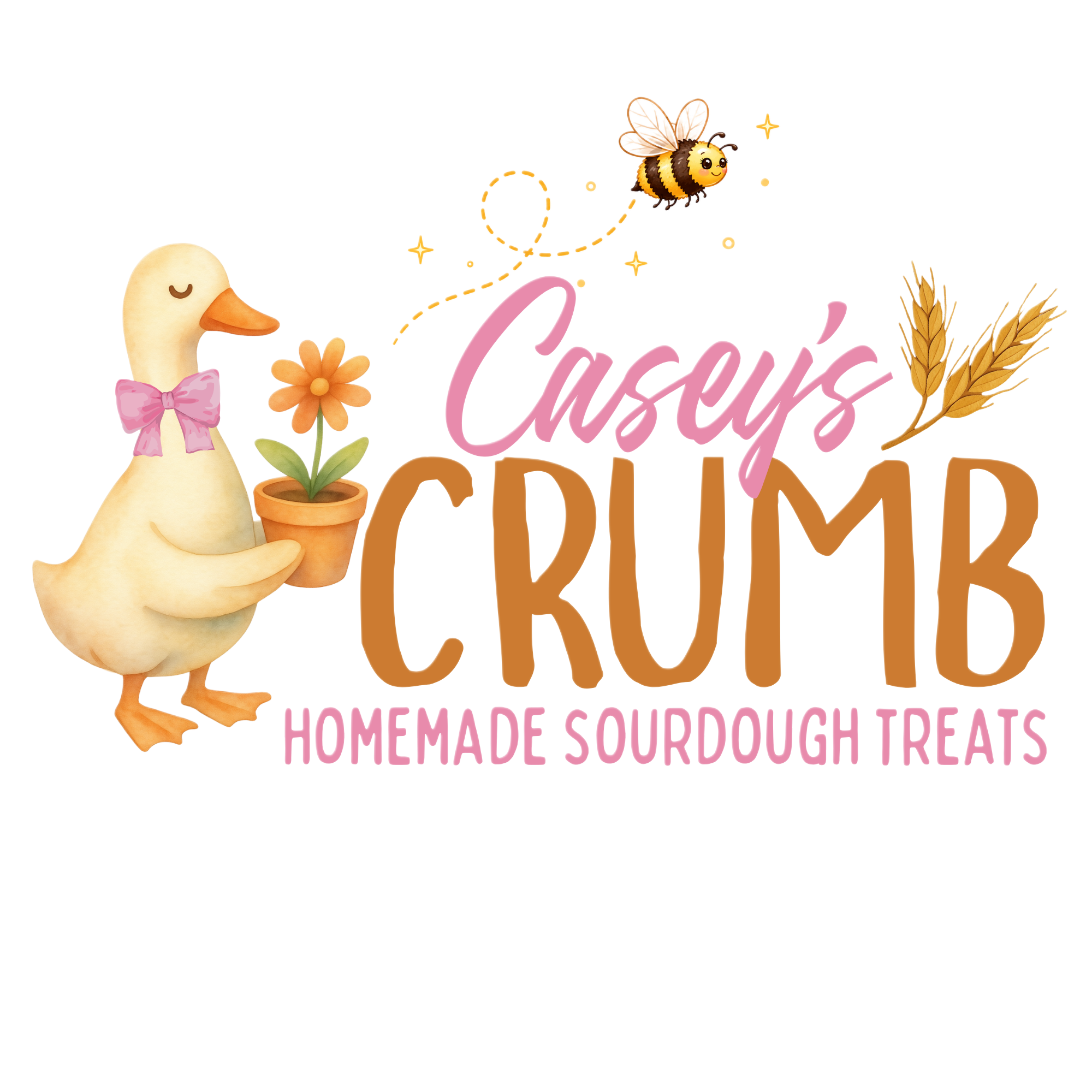 Casey's Crumb homemade sourdough treats